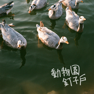 日逼啊…嗯……啊…嗯……
