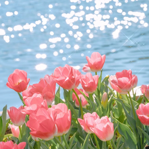 日逼啊…嗯……啊…嗯……
